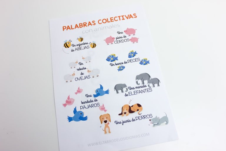 Palabras colectivas con animales (I)